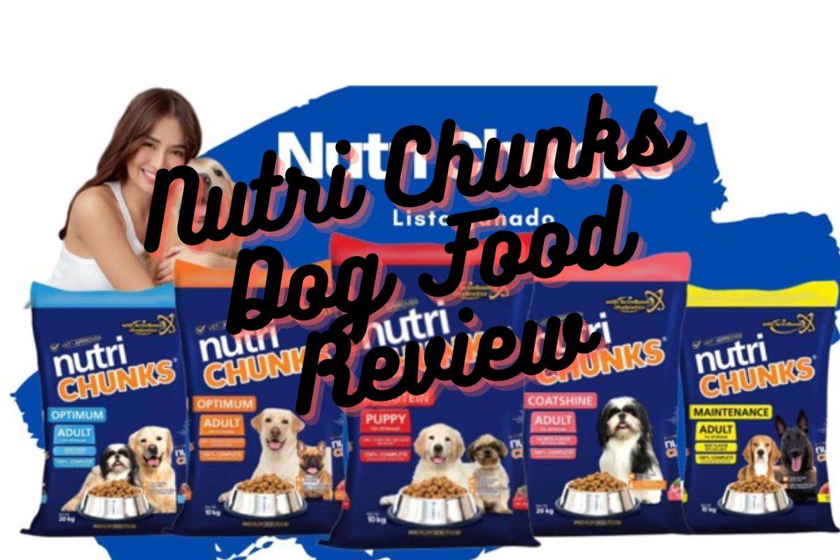 Nutri Chunks Dog Food Review