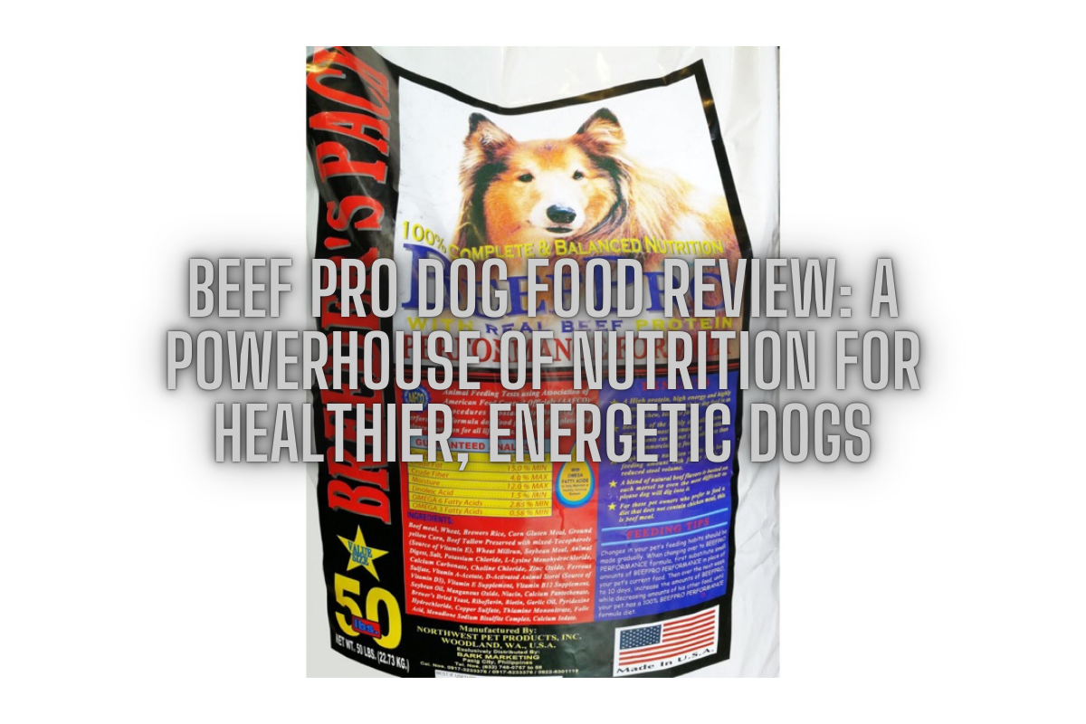 Beef Pro Dog Food Review