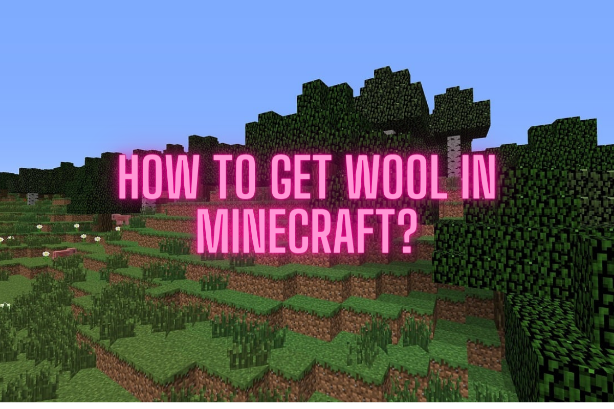 How to Get Wool in Minecraft?