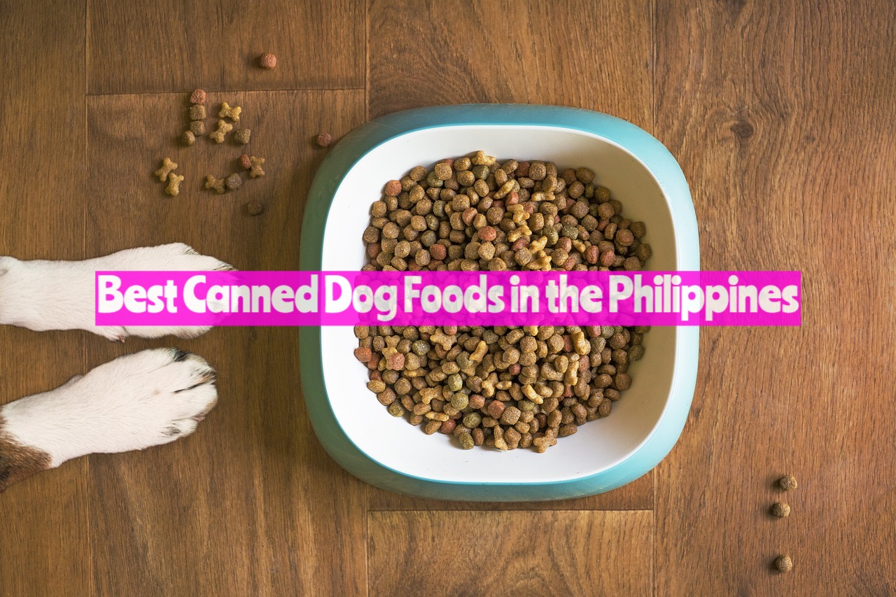 Best Canned Dog Foods in the Philippines