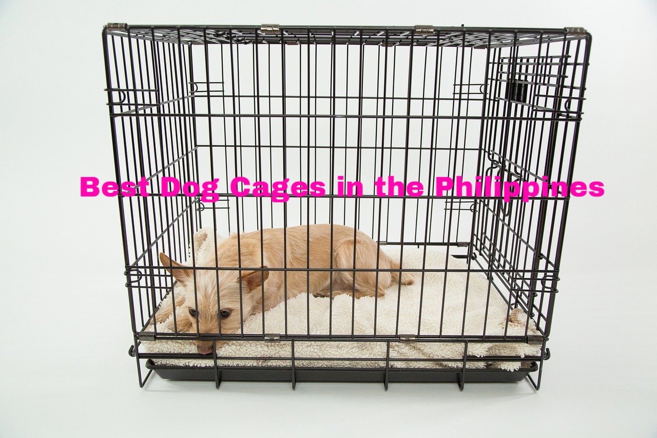 Best Dog Cages in the Philippines