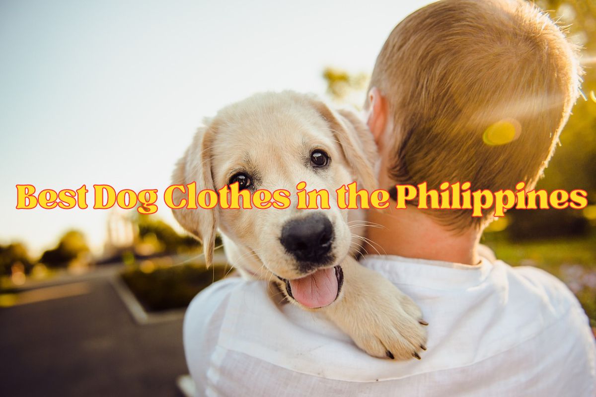Best Dog Clothes in the Philippines