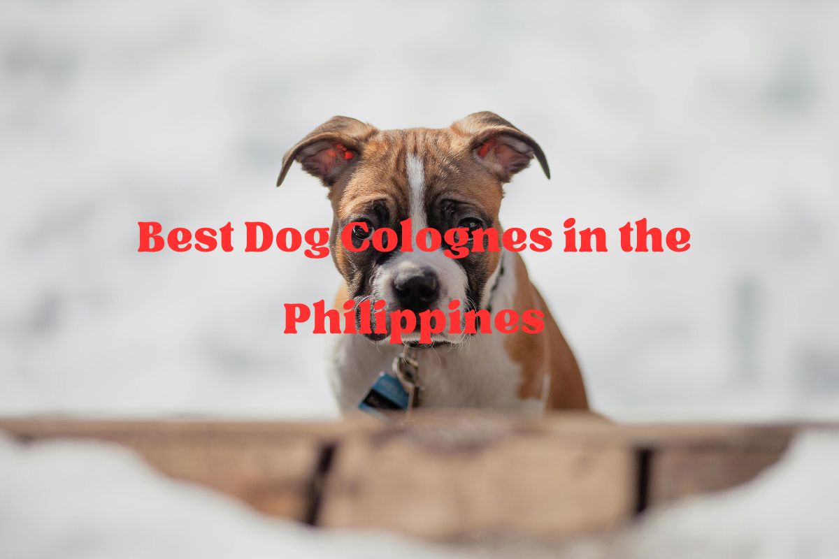 Best Dog Colognes in the Philippines