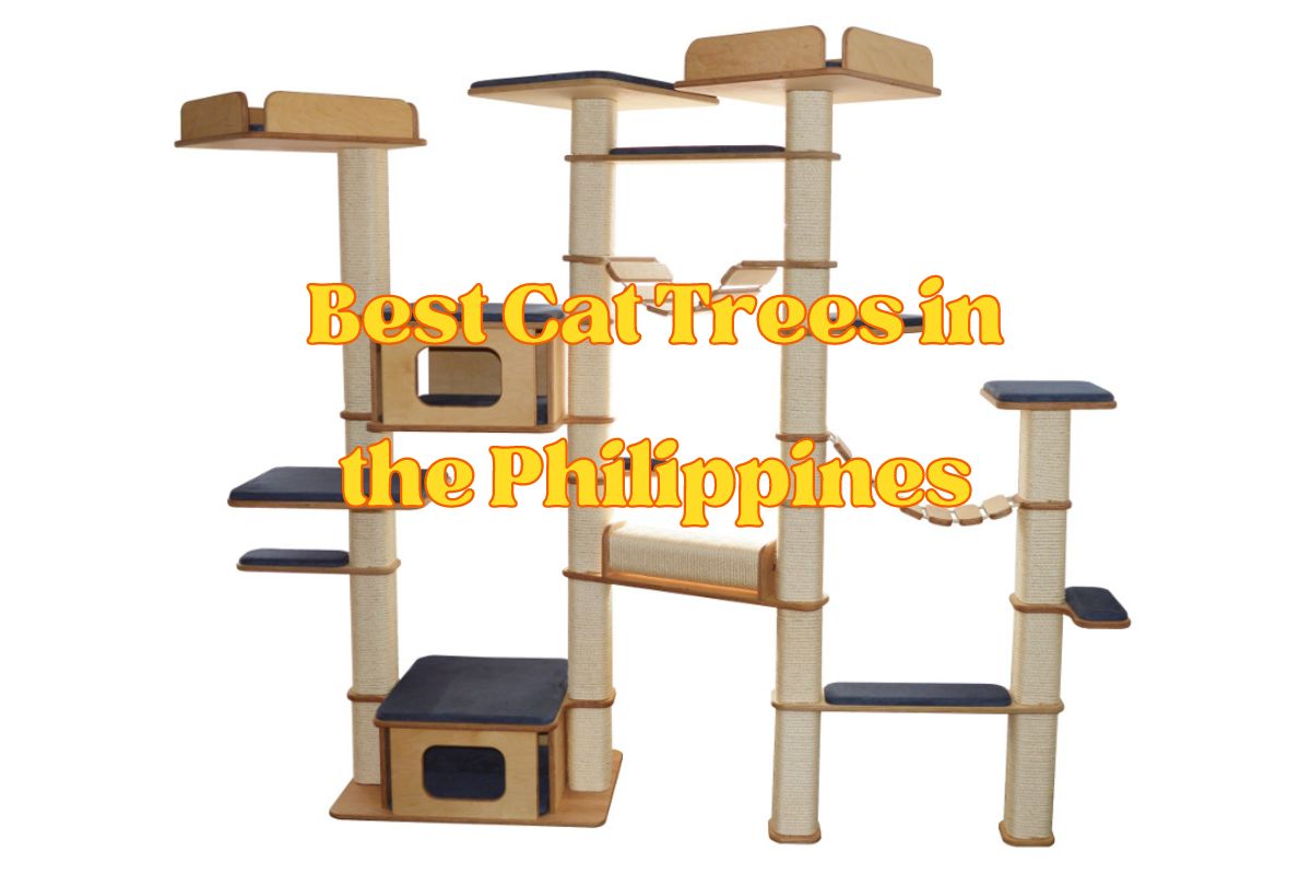 Best Cat Trees in the Philippines